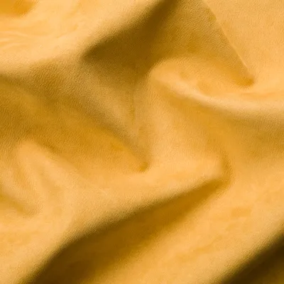 Delia 120